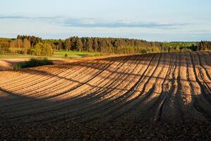 Golden hour light casts long shadows over freshly plowed fields with forested horizon and blue sky in scenic rural landscape photo