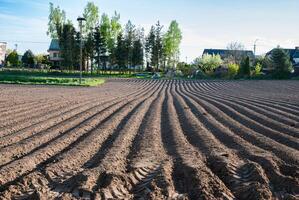 Spring morning on a plowed field with patterns in soil rows, trees and houses in the background, under a clear blue sky photo