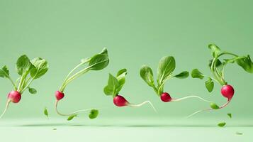 Fresh radishes with vibrant green leaves are artfully arranged against a soft green background, showcasing their natural beauty and freshness in a visually appealing composition photo