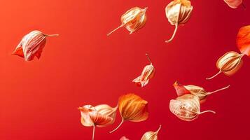 Physalis in shades of orange and gold are gracefully falling against a vibrant red background, creating a dynamic and visually striking composition of nature's beauty photo