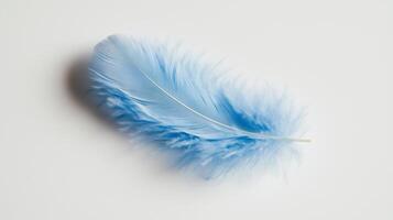 A blue feather on a white surface photo