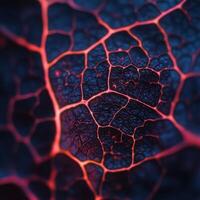 Complex Web Of Nature Supplying Summer Energy photo