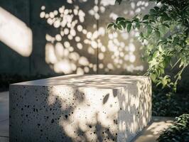 Creative Shadows of Botanic Art on Architecture photo