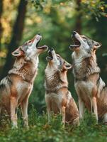 Elders Of The Woods Train Youth In Natures Calls photo