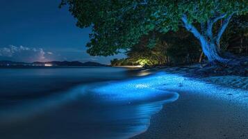 Enchanted Coastal Edges Shining With Glowing Sea Creatures photo