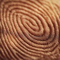 Fine Body Engravings Diagramming Unique Identity Trails photo