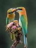 Eye catching Hunters Flashing Trophies Of Recent Hunts photo