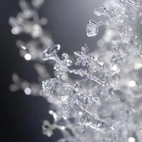 Fleeting Frost Patterns Showcasing Flawless Natures Logic photo