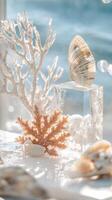 Glass Exhibit with Preserved Seaside Treasure Collection photo