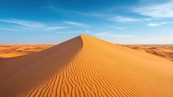 Limitless Golden Dunes Carved By Warm Desert Winds photo