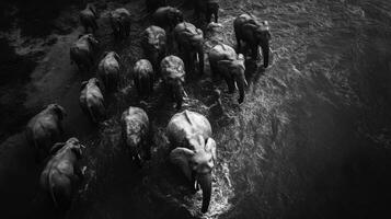 Knowledgeable Leader Navigating Relatives Sanely In Drought photo