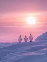 Majestic Family Uniting To Protect Young On Polar Ice photo