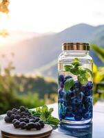 Mountain Escape With Crisp Blueberry and Mint Water Mix photo