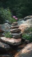 Motivational Stone Display with Enduring Blossoming Flowers photo