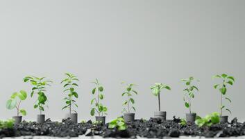 Eight Young Plants Growing in Grey Pots photo