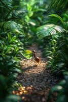 Ant with Leaf Wings Walking a Jungle Path photo
