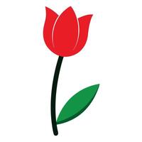 A Simple Red Tulip Flower With Green Stem and Leaf vector