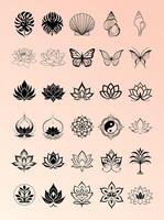 Elegant set of nature-inspired ornaments and floral elements featuring graceful leaves, branches, and botanical details. Perfect for branding, invitations, packaging, and decorative design projects. vector