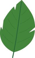 Tropical Greenery Elements in Simple Style vector