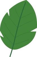 Greenery Design Elements with Tropical Leaves vector