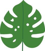 Flat Palm and Monstera Leaf Elements vector
