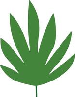 Flat Jungle Leaves for Botanical Projects vector
