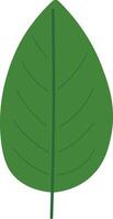 Exotic Flat Leaves in Botanical Theme vector