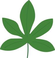 Flat Style Nature Leaf Elements vector