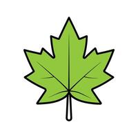 Green Maple Leaf on White Background vector