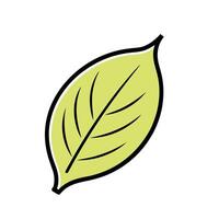 Single Leaf in a Hand-Drawn Flat Style vector
