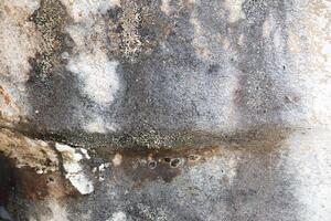 Weathered wall surface with stains and mold photo