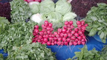 Fresh produce display at local farmers market event video