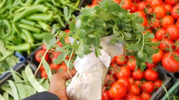 Fresh herbs and tomatoes at local market in spring season video