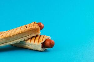 Grilled hot dogs in crispy bread on blue background photo