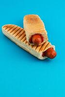 Delicious grilled hot dogs served in toasted bread rolls photo