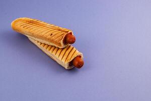 Delicious grill marks on two hot dogs in toasted buns photo