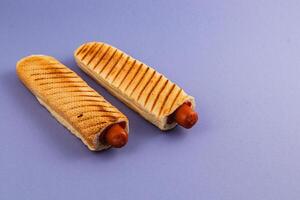 Toasted hot dogs in rolls on purple background photo