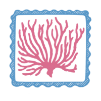 A pink and blue coral in a square frame png