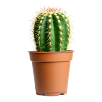 A vibrant green cactus in a terracotta pot against transparent background. png