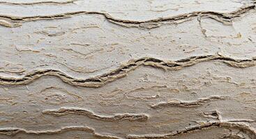 Light Bark Close-Up Texture with Fine Cracks and Smooth Flowing Organic Patterns photo