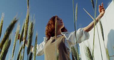 A young beautiful woman is dancing, smoothly moving her hands, closing her eyes in pleasure, posing in a wheat field among the ears, standing in front of a white screen. 4k , red komodo photo