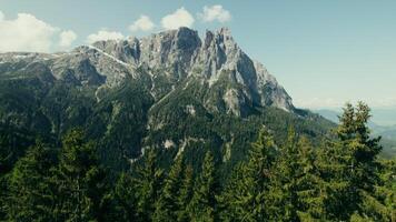 Drone view of a high-altitude valley with rocky peaks and slopes overgrown with spruce forest - forest photo