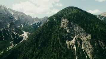 Rocky mountain peak, overgrown with dense spruce forest, bird's-eye view from a drone, high-altitude valley - spruce photo