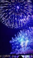 Colorful fireworks exploding over a lake with a crowd of people watching the show in the foreground, creating a vibrant and festive atmosphere video