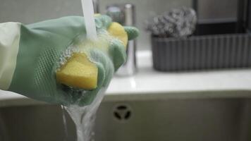 Cleaning a sponge under running water in the sink video