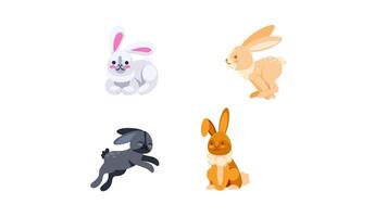 Animated rabbits running and resting sprite sheet animation, with green screen video