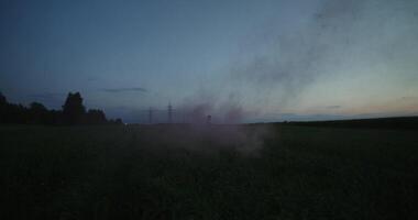 A young woman blows pink smoke standing in a field on a summer evening. She runs and spins around herself photo