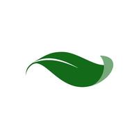 Green leaf design element representing nature and freshness for various applications vector