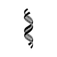 Artistic depiction of DNA double helix with spirals and contrasting colors representing genetic information and structure vector