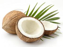 Freshly opened coconuts with palm leaves on white background photo